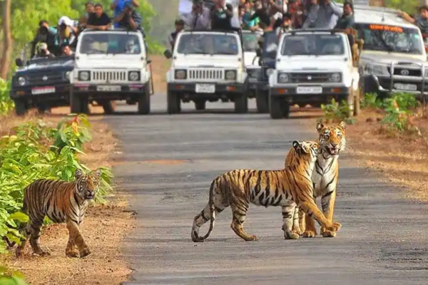 Jim Corbett